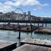 ヒメ日記 2026/04/17 08:22 投稿 しゅり ファンタジー