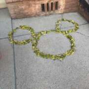 ヒメ日記 2026/04/21 09:30 投稿 しゅり ファンタジー