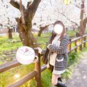 うらら 春のお祭り🌸 学園collection