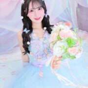 みんアカデミー在籍 🎀姫予約🎀 風神会館新宿店