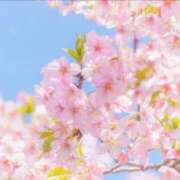 ヒメ日記 2026/03/09 13:44 投稿 まお 完熟ばなな千葉店