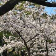 ヒメ日記 2026/04/05 08:14 投稿 まお 完熟ばなな千葉店