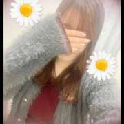 ヒメ日記 2026/02/11 13:29 投稿 ここな 千葉人妻花壇