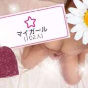 ここな １０２人の変態さん♥️ 千葉人妻花壇