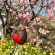 ヒメ日記 2026/02/21 21:14 投稿 すい 錦糸町人妻セレブリティ（ユメオト）