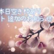 ヒメ日記 2026/03/16 10:30 投稿 すい 錦糸町人妻セレブリティ（ユメオト）