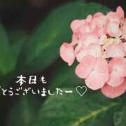 ヒメ日記 2026/06/19 20:37 投稿 すい 錦糸町人妻セレブリティ（ユメオト）