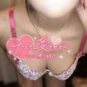 ヒメ日記 2026/02/21 09:34 投稿 薄氷こはく HYPER TOKYO