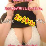 ヒメ日記 2026/02/16 12:13 投稿 みこと デリピン　ハワイ