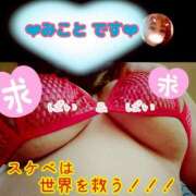 ヒメ日記 2026/02/19 17:23 投稿 みこと デリピン　ハワイ