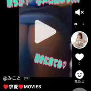 ヒメ日記 2026/03/31 18:05 投稿 みこと デリピン　ハワイ