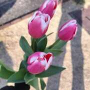 森川みずき おやすみ 五十路マダム 沼津店(カサブランカグループ)