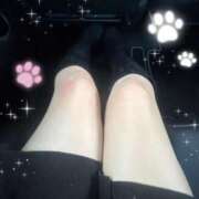 ヒメ日記 2026/02/19 16:31 投稿 ルル Aroma De Pari（アロマ・デ・パリ）