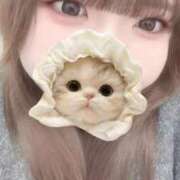 ヒメ日記 2026/03/06 13:17 投稿 みほ 白いぽっちゃりさん五反田店