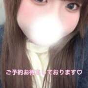 ヒメ日記 2026/03/21 12:49 投稿 みほ 白いぽっちゃりさん五反田店