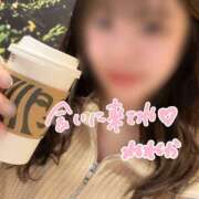 ヒメ日記 2026/03/08 14:57 投稿 ねねか ハピネス東京