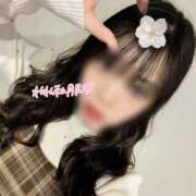 ヒメ日記 2026/04/03 11:07 投稿 ねねか ハピネス東京