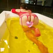 ヒメ日記 2026/03/01 19:15 投稿 れい(昭和48年生まれ) 熟年カップル名古屋～生電話からの営み～