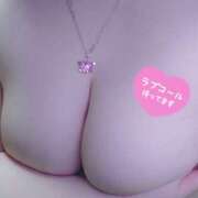 うさぎ 🫶🫶🫶 モアグループ小山人妻花壇