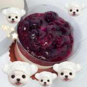 すい 🫐ぶるぶる ビデオdeはんど 横浜校