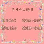 ヒメ日記 2026/06/09 19:29 投稿 らん 茨城日立ちゃんこ