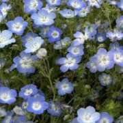 ヒメ日記 2026/03/25 20:07 投稿 伊藤 あこ こあくまな熟女たち 本厚木店(KOAKUMAグループ)