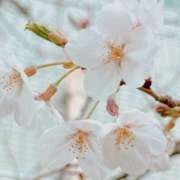 ヒメ日記 2026/04/11 19:11 投稿 伊藤 あこ こあくまな熟女たち 本厚木店(KOAKUMAグループ)