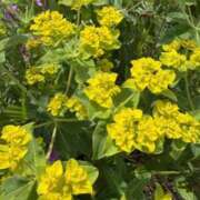 ヒメ日記 2026/04/23 19:27 投稿 伊藤 あこ こあくまな熟女たち 本厚木店(KOAKUMAグループ)