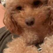 ヒメ日記 2026/03/03 19:28 投稿 くるみ ルネッサンス