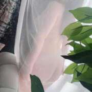 ヒメ日記 2026/04/05 08:20 投稿 藤咲みき ウルトラホワイト