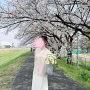 ヒメ日記 2026/04/11 21:27 投稿 吉瀬ありな MIRAI TOKYO 新宿店