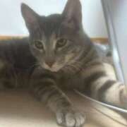 ヒメ日記 2026/03/06 23:23 投稿 ♪のの 水色りぼん