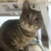 ヒメ日記 2026/03/08 01:33 投稿 ♪のの 水色りぼん