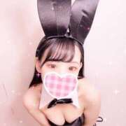 ヒメ日記 2026/02/14 04:26 投稿 きたみ びちょ美女