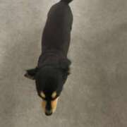 ヒメ日記 2026/04/07 09:09 投稿 なこ エデンR