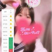 ヒメ日記 2026/04/08 04:19 投稿 なこ エデンR