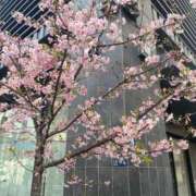 ヒメ日記 2026/02/22 16:03 投稿 桜井りん シロガネーゼ