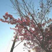 ヒメ日記 2026/02/24 16:19 投稿 ゆか 上野・鶯谷スピン