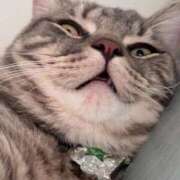 ヒメ日記 2026/02/22 06:27 投稿 トコ バニーコレクション秋田店