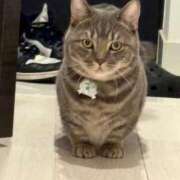 ヒメ日記 2026/02/22 17:03 投稿 トコ バニーコレクション秋田店