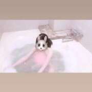 ヒメ日記 2026/02/15 21:03 投稿 せい スタイル×愛嬌抜群美少女 L＆Jブラザーズ