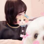 ヒメ日記 2026/02/13 09:30 投稿 こさめ 秋葉原ハンドメイド