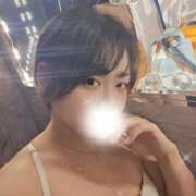 カスミフグ　霞河豚 出勤予定！ 女の子市場