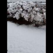 ヒメ日記 2026/03/04 08:36 投稿 しおり ハピネス東京 吉原店