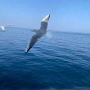 ヒメ日記 2026/03/16 07:06 投稿 しおり ハピネス東京 吉原店