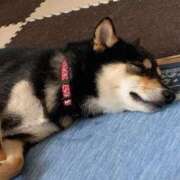 ヒメ日記 2026/03/18 09:36 投稿 しおり ハピネス東京 吉原店