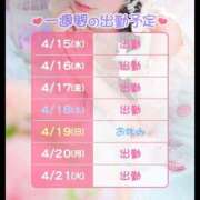 ヒメ日記 2026/04/15 12:41 投稿 しおり ハピネス東京 吉原店