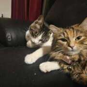 まゆ 朝妻お得だよ🉐 モアグループ神栖人妻花壇