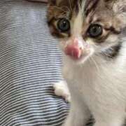 ヒメ日記 2026/03/04 10:25 投稿 まゆ モアグループ神栖人妻花壇