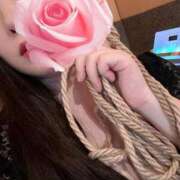 ヒメ日記 2026/03/27 11:33 投稿 るな 痴女@女王様